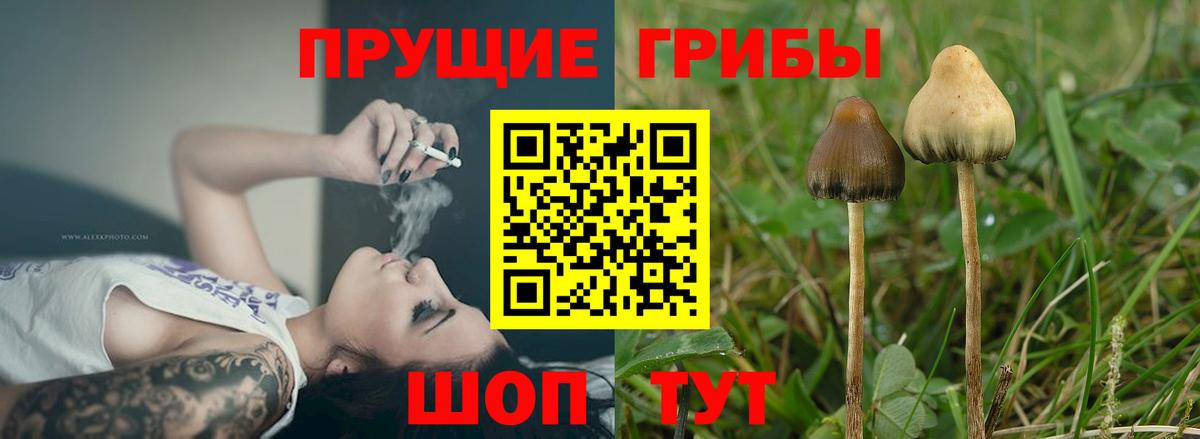 Галлюциногенные грибы GOLDEN TEACHER Отрадное