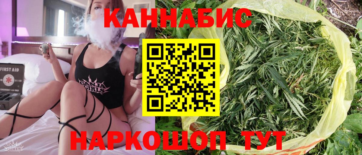 Конопля план  Конопля конопля  Вход с VPN  Шишки марихуана тримм  Отрадное  Канабис White Widow 